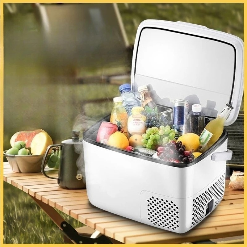 220V /12V /24V Car Refrigerato - đánh giá và giá Outdoor Furniture Zone