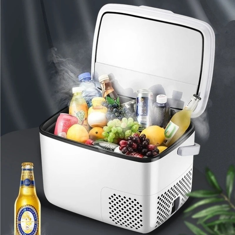 220V /12V /24V Car Refrigerato - đánh giá và giá Outdoor Furniture Zone